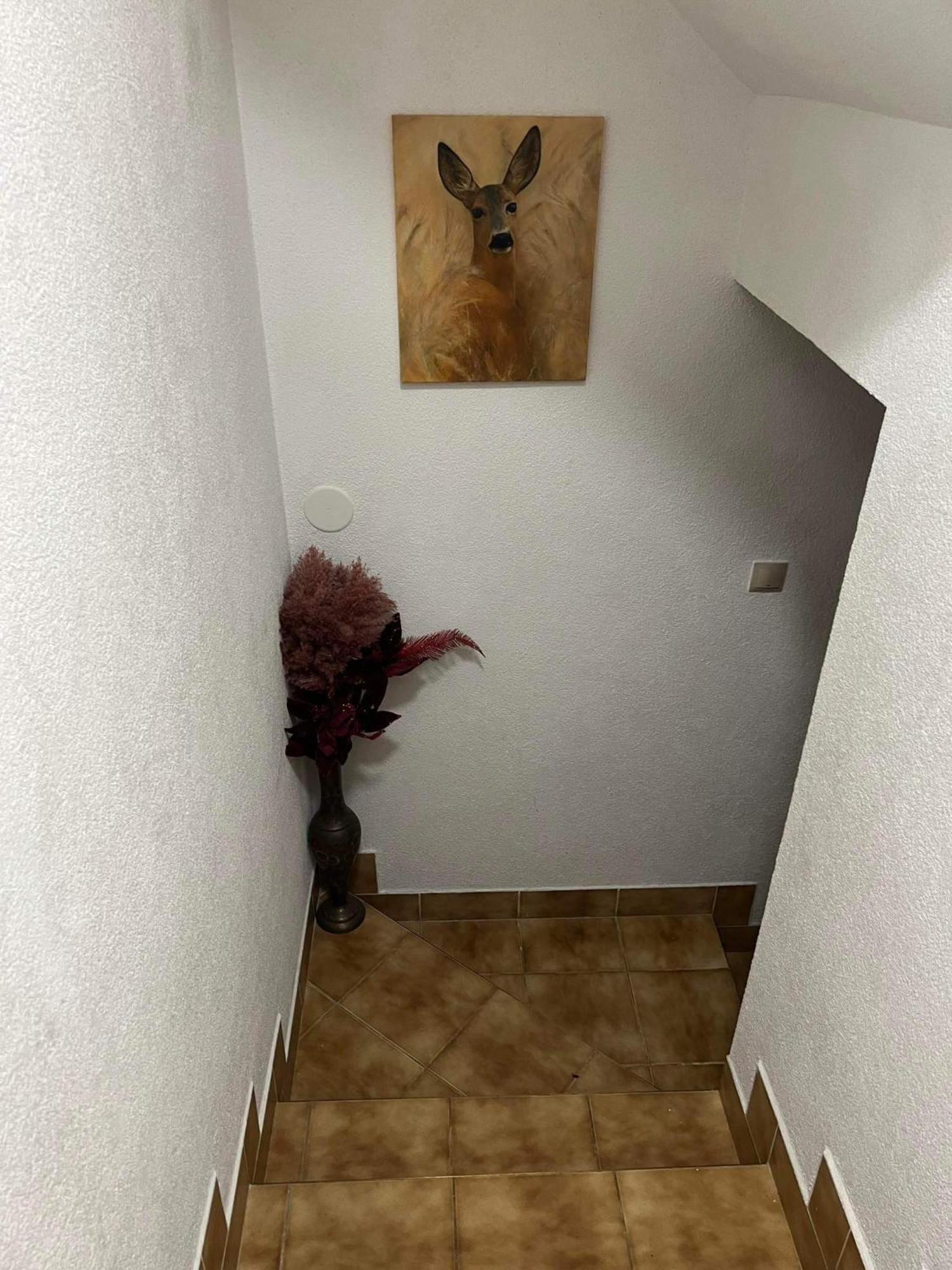 Privat Forest Liptovský Mikuláš Buitenkant foto