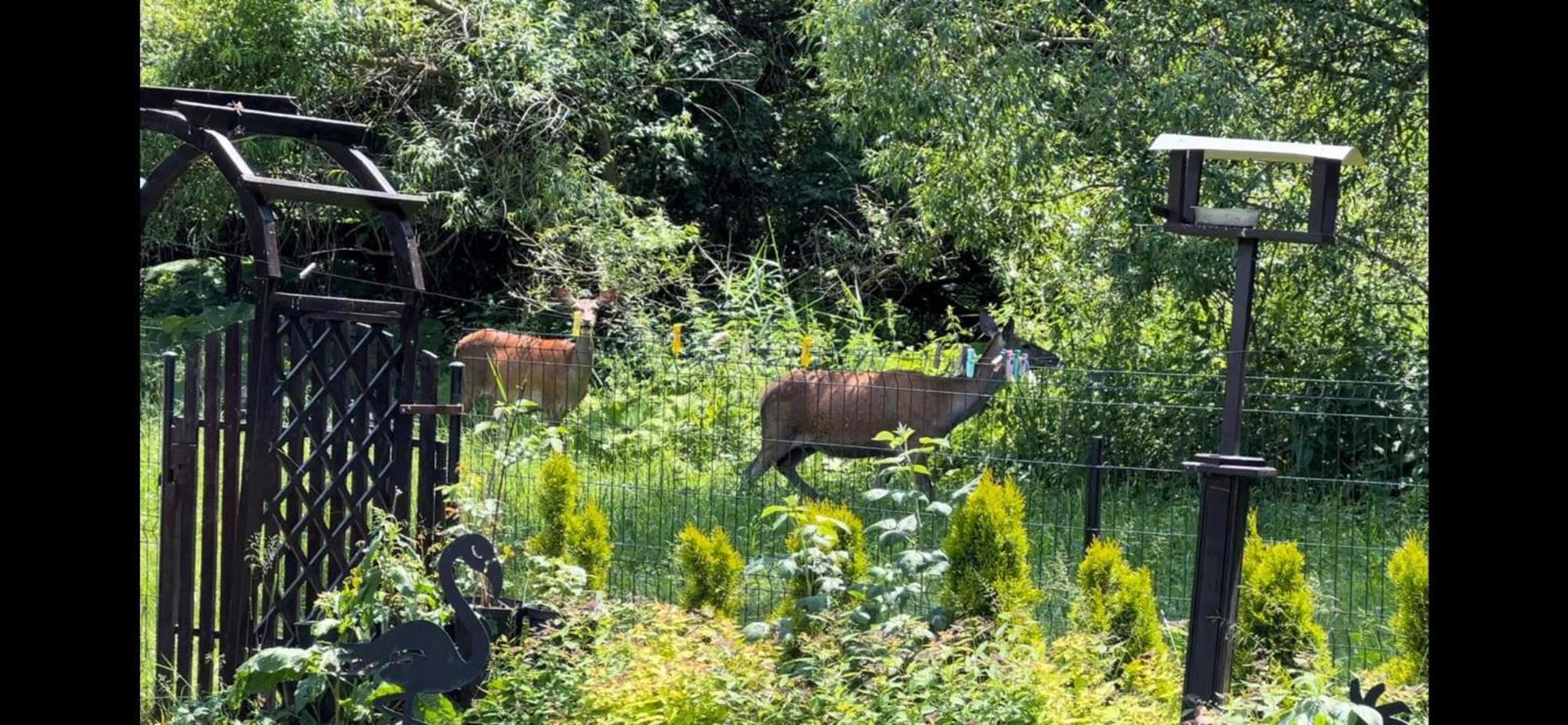 Privat Forest Liptovský Mikuláš Buitenkant foto